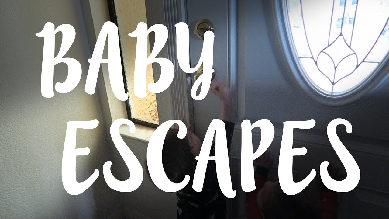 BABY ESCAPES! (1-28-16 – Day 175)