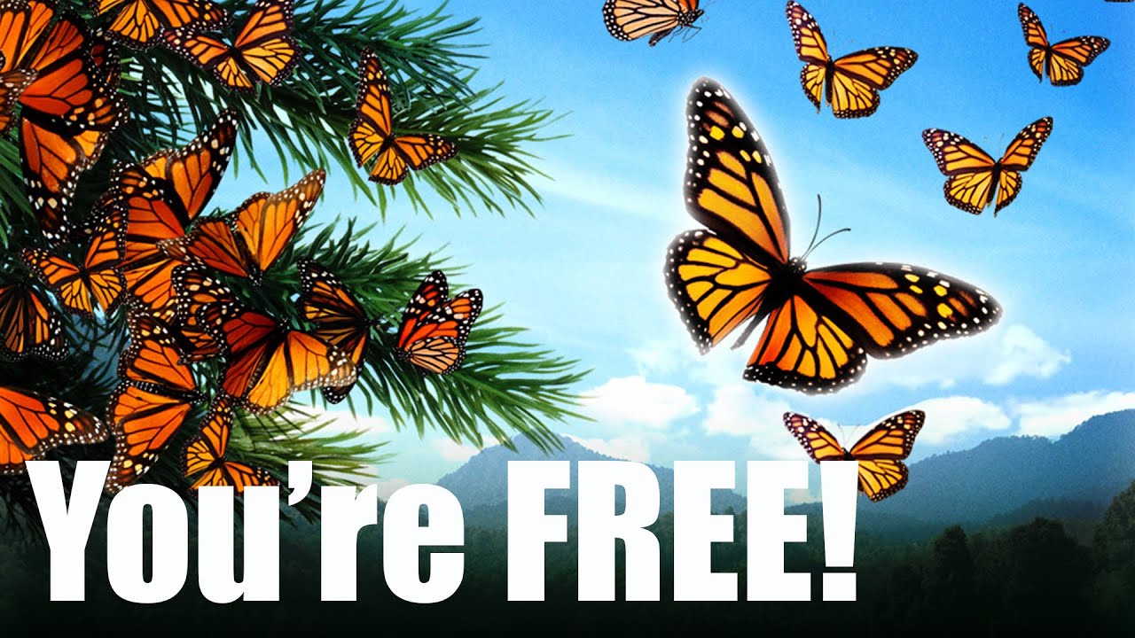 Be Free Butterflies! (9-29-15 – Day 97)