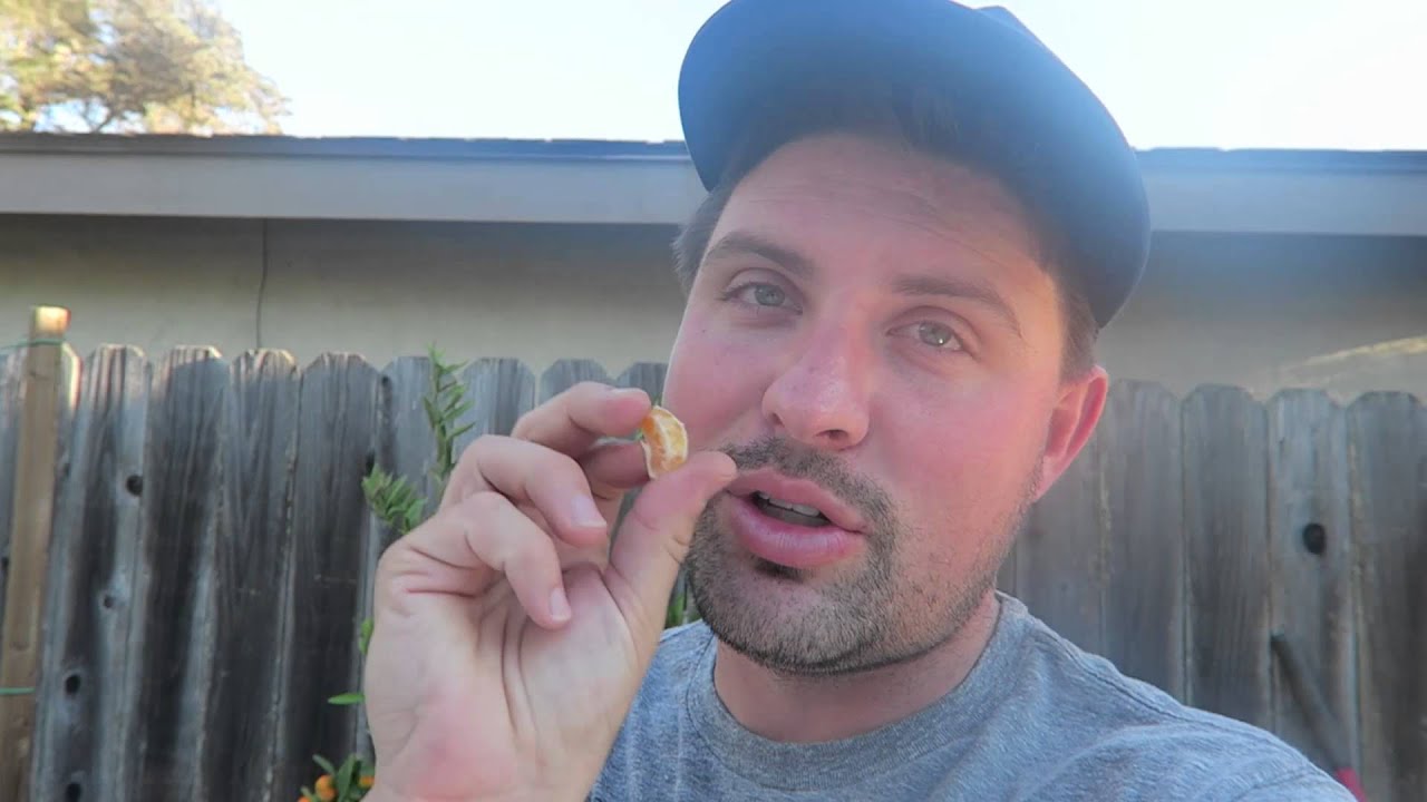 EATING HAIR! (11-20-15 – Day 144)