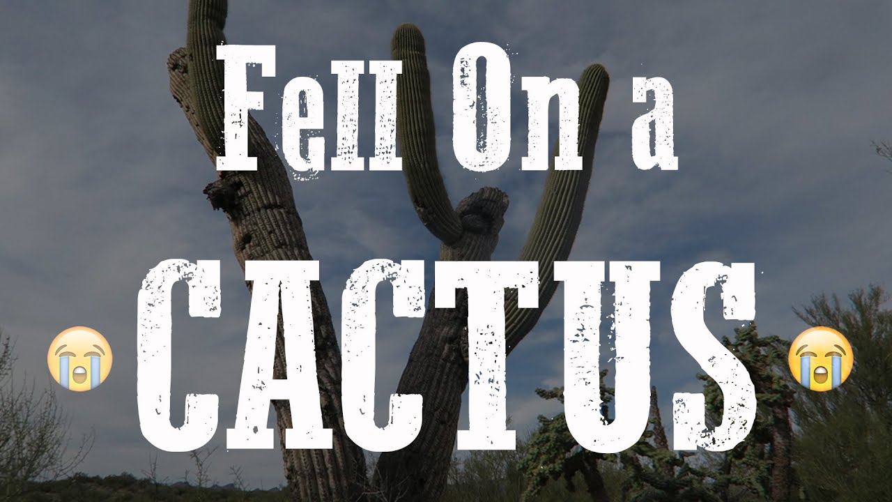 Fell on a CACTUS in ARIZONA! (1-23-16 – Day 170)