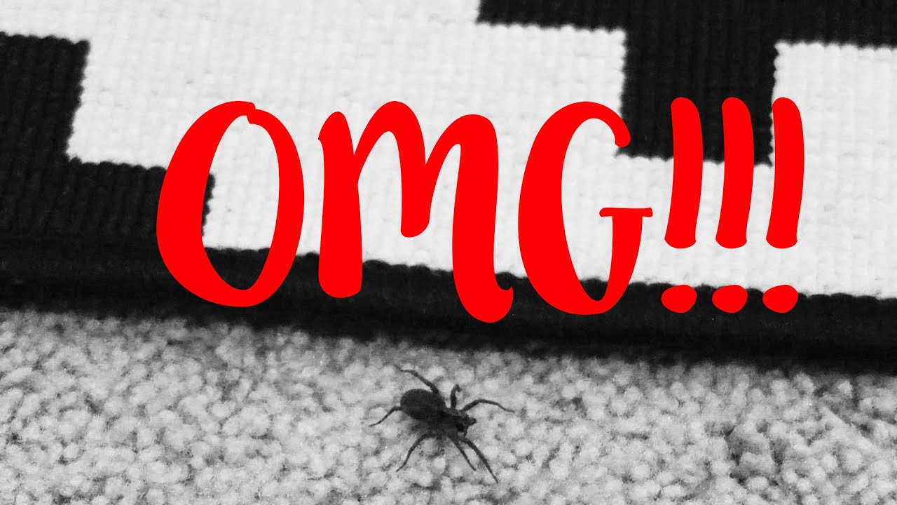 OMG! (1-31-16 – Day 178)