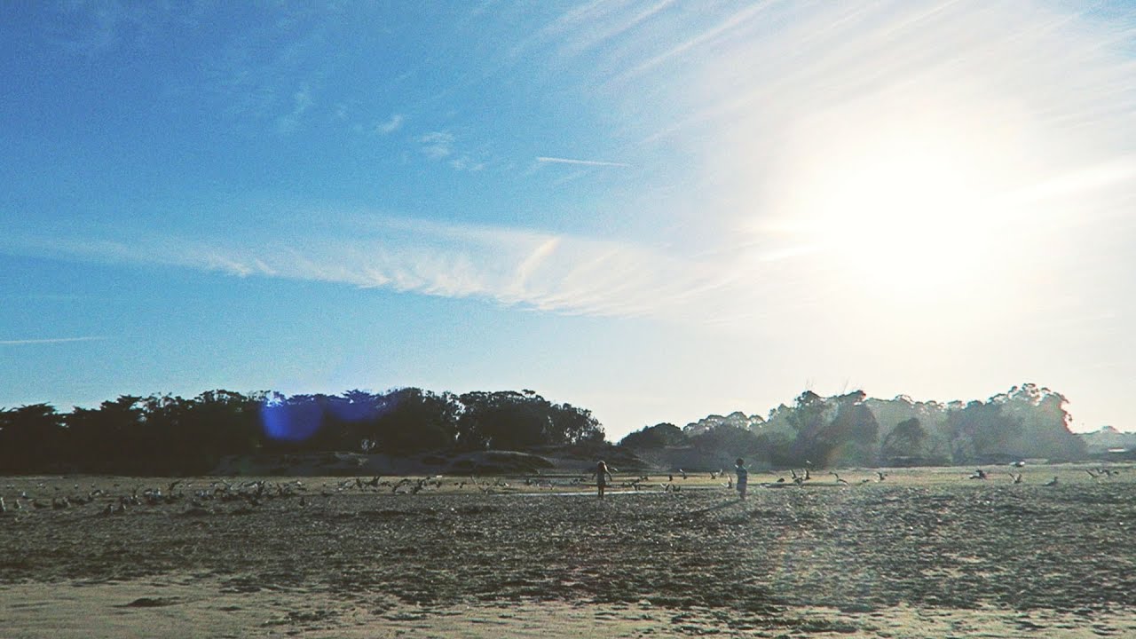 Taking 5 kids to Toys R us! (8-17-15 – day 53)