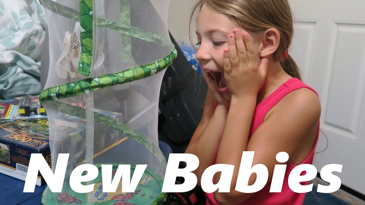 They Emerged! (9-25-15 – Day 93)