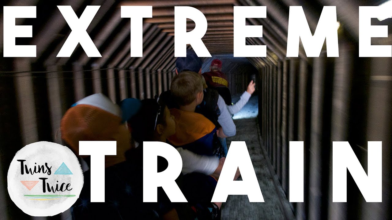 Twins Ride Mini Train (7-3-16 – Day 209)