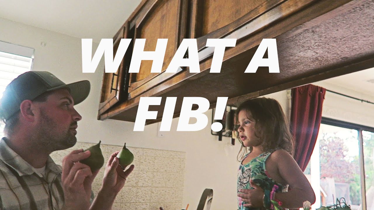 WHAT A FIB! (8-26-15 – Day 62)
